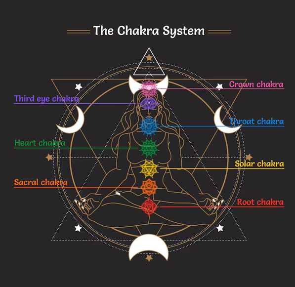 Vedic Kundli and chakra analysis at astrology centre in Lucknow